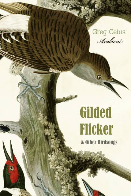 Gilded Flicker and Other Birdsongs