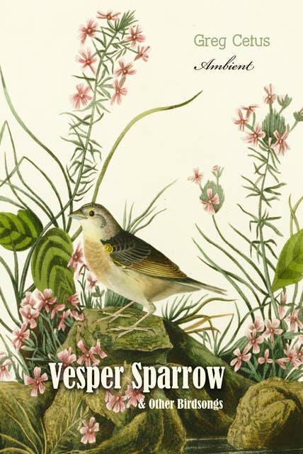 Vesper Sparrow and Other Bird Songs
