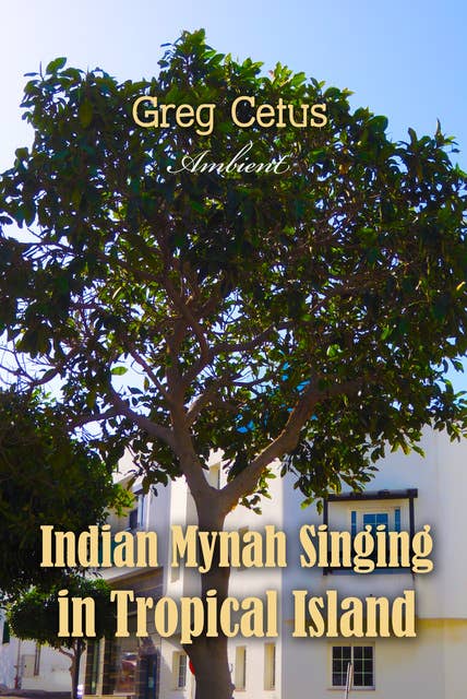 Indian Mynah Singing in Tropical Island