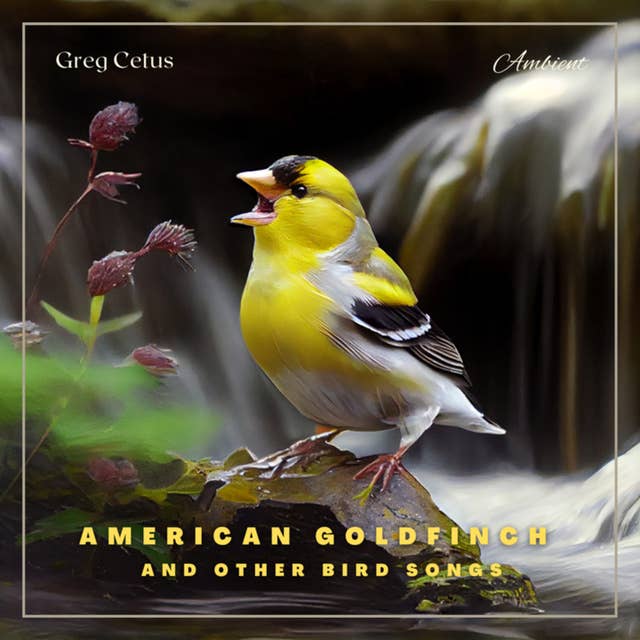 American Goldfinch and Other Bird Songs: Nature Sounds for Study and Meditation