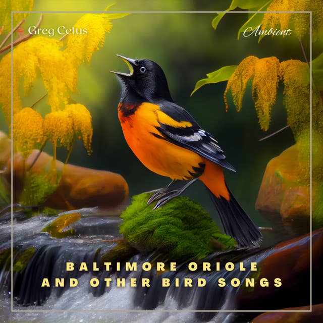 Baltimore Oriole and Other Bird Songs: Nature Sounds for Yoga and Relaxation