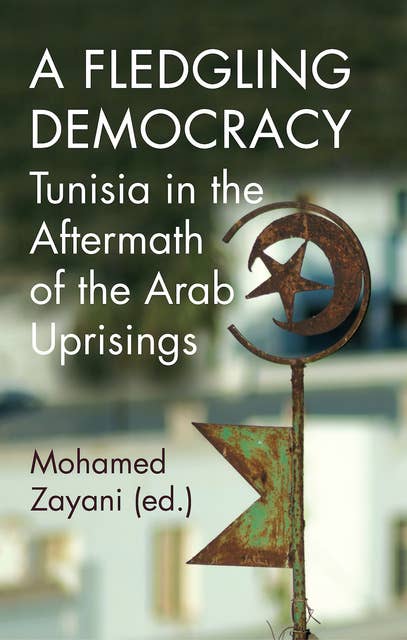 A Fledgling Democracy: Tunisia in the Aftermath of the Arab Uprisings