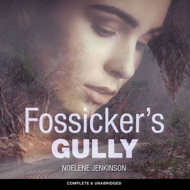 Fossicker's Gully
