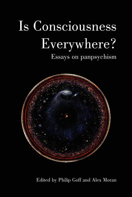 Is Consciousness Everywhere? - Essays on Panpsychism