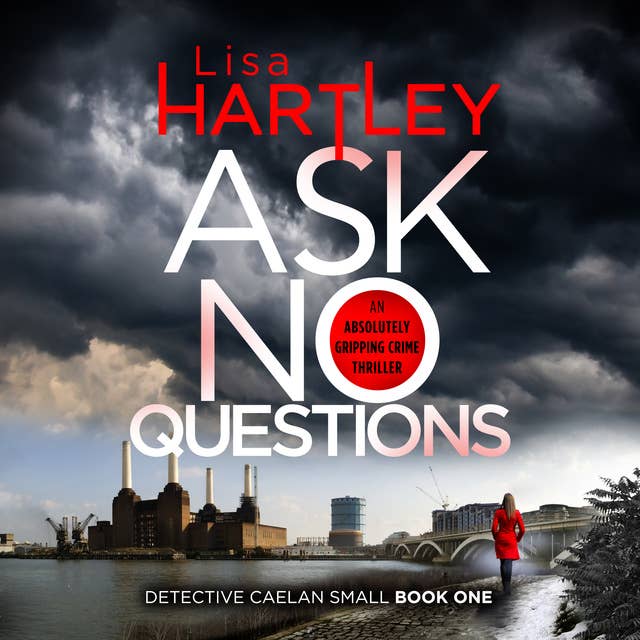 Ask No Questions: A gripping crime thriller with a twist you won't see coming