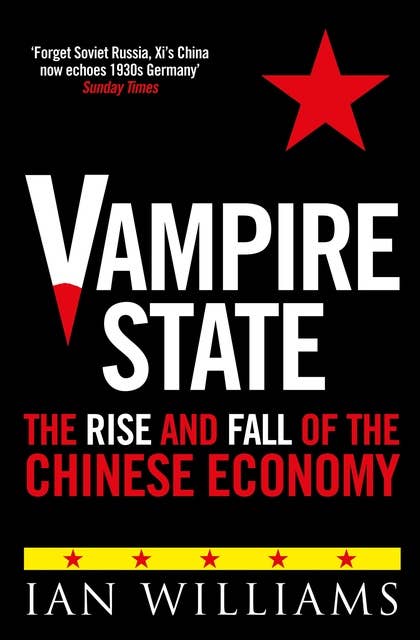 Vampire State: The Rise and Fall of the Chinese Economy