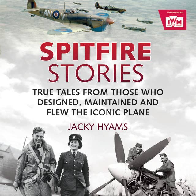 Cover for Spitfire Stories