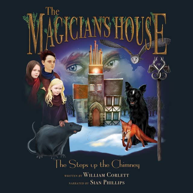The Magician's House: Steps Up the Chimney