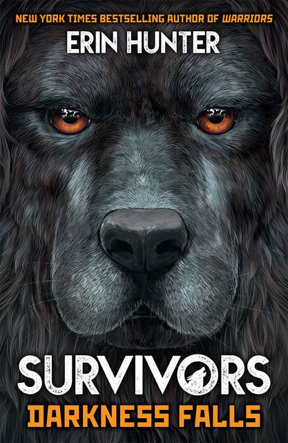 Survivors: Book 3: Darkness Falls