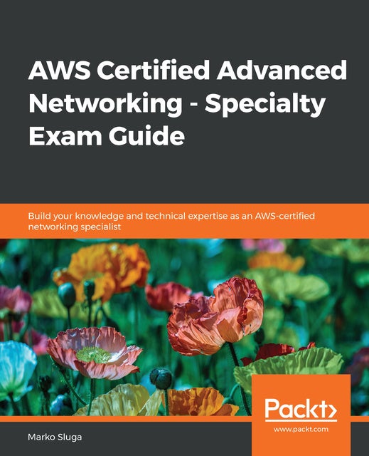 Exam AWS-Advanced-Networking-Specialty Dumps