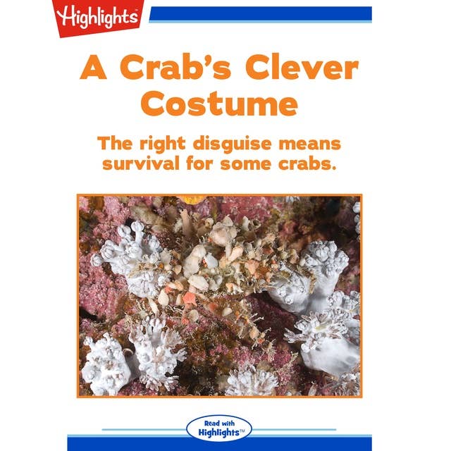 A Crab's Clever Costume: The right disguise means survival for some crabs.
