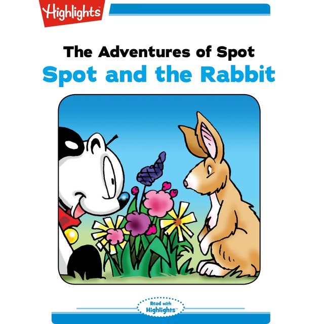 The Adventures of Spot Spot and the Rabbit: The Adventures of Spot