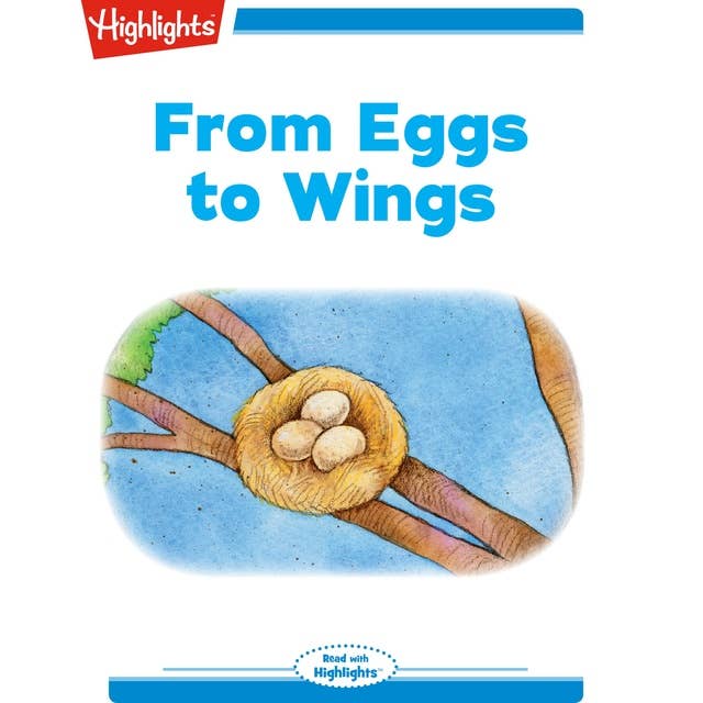 From Eggs to Wings