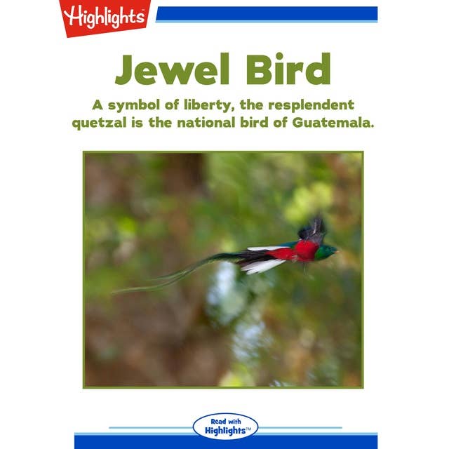 Jewel Bird: A symbol of liberty, the resplendent quetzal is the national bird of Guatemala.