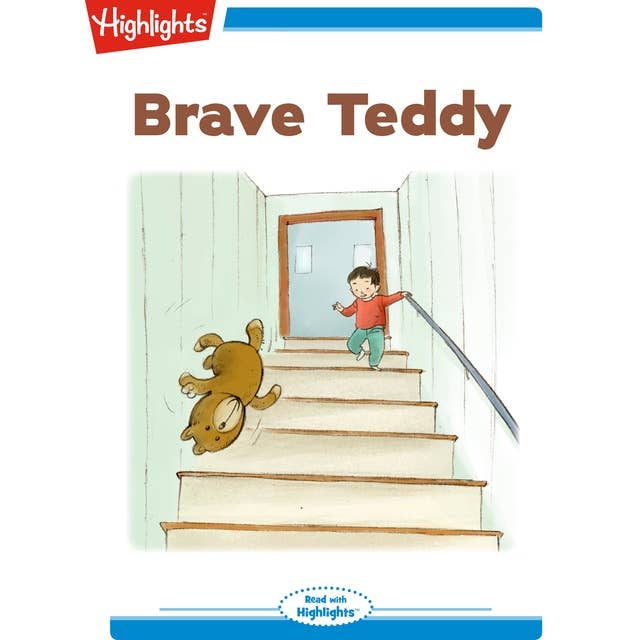 Brave Teddy