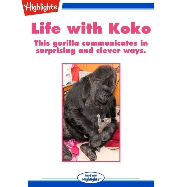Life with Koko