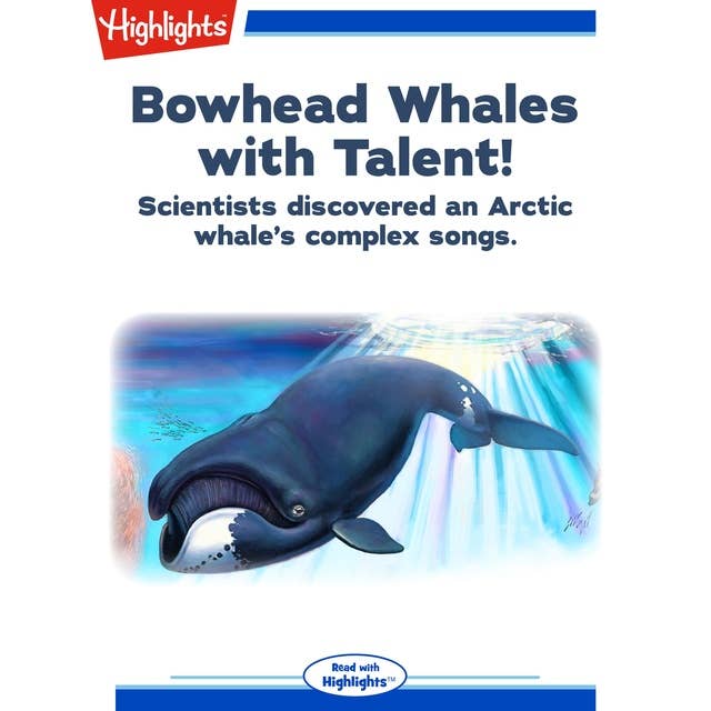 Bowhead Whales with Talent!