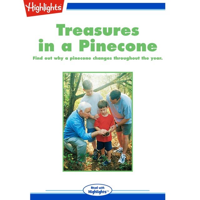 Treasures in a Pinecone