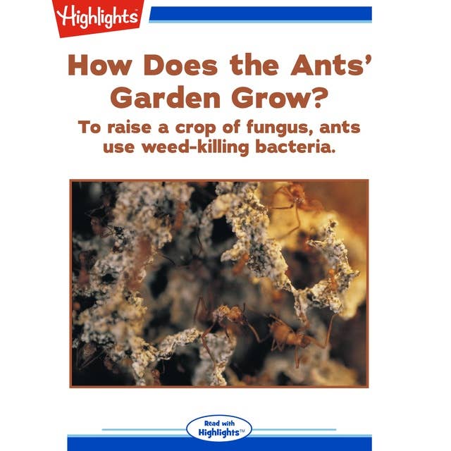 How Does the Ants' Garden Grow?