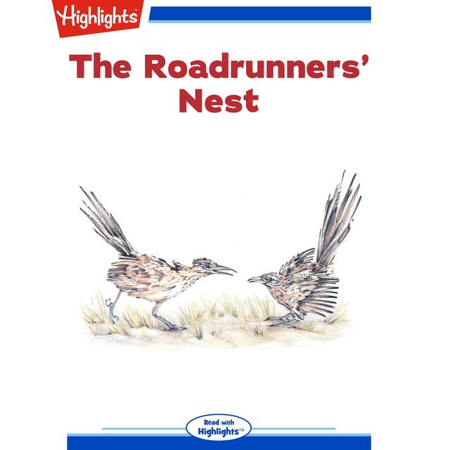 The Roadrunners' Nest