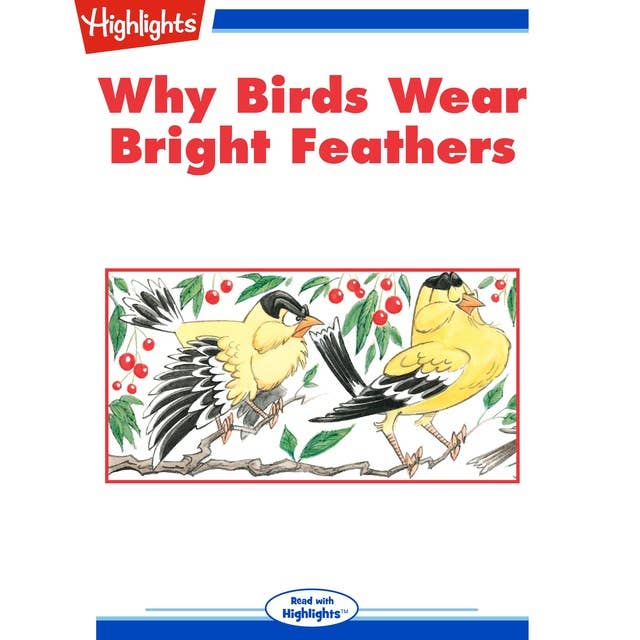 Why Birds Wear Bright Feathers