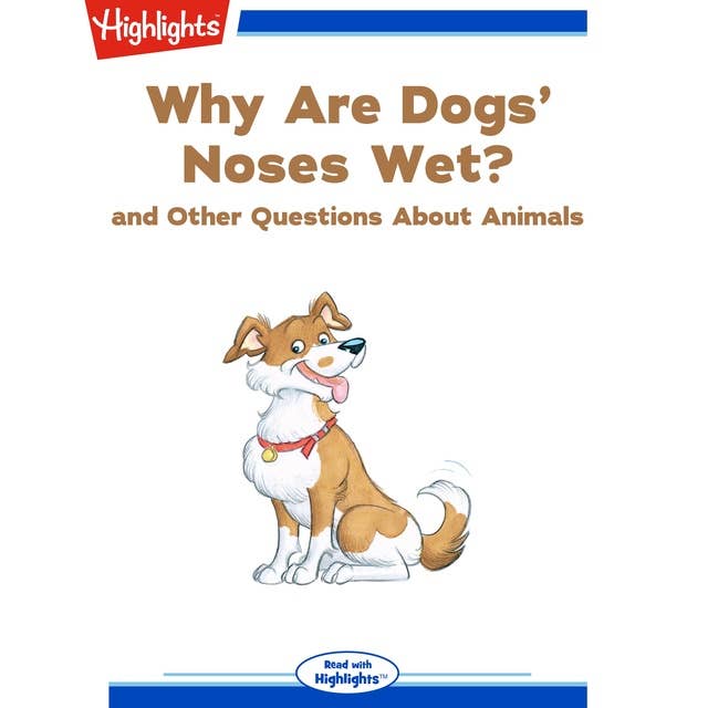 Why Are Dogs' Noses Wet?: and Other Questions About Animals