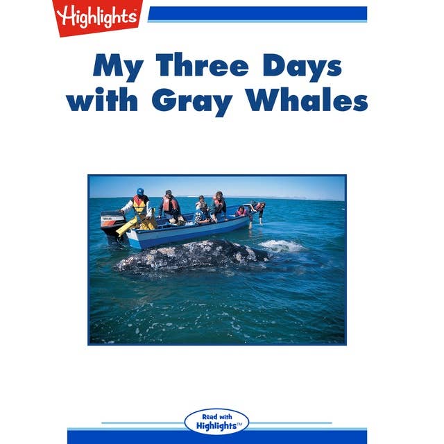 My Three Days with Gray Whales