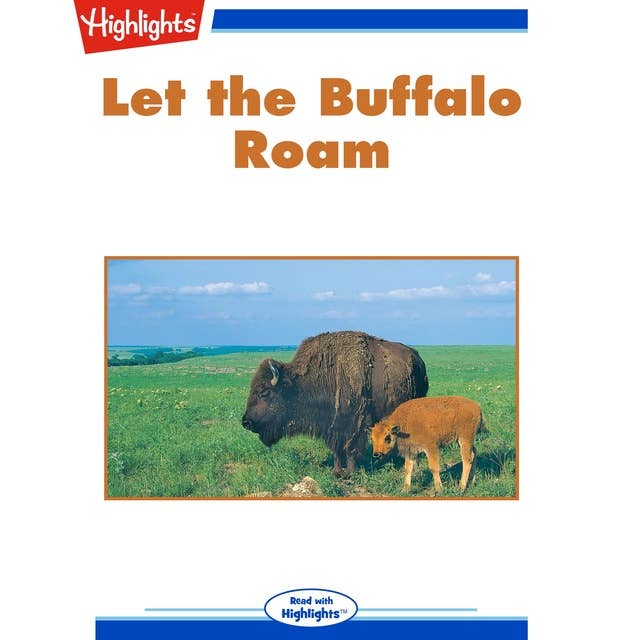 Let the Buffalo Roam