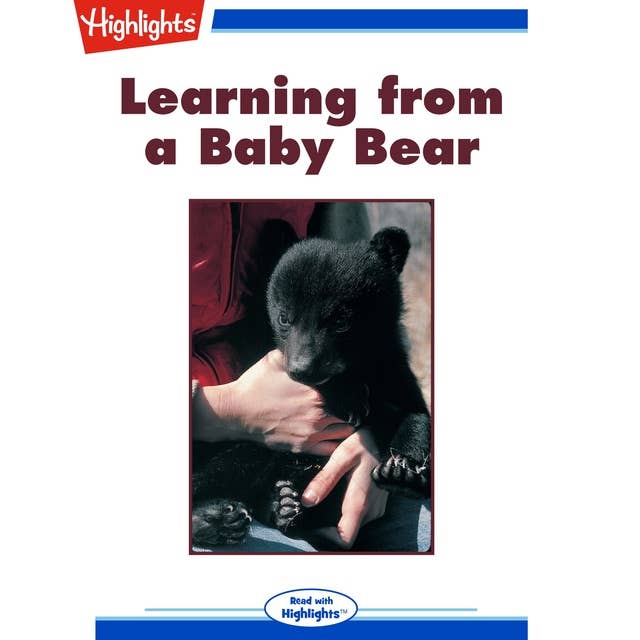 Learning from a Baby Bear