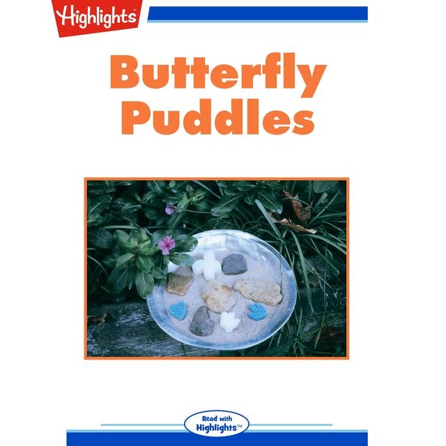 Butterfly Puddles