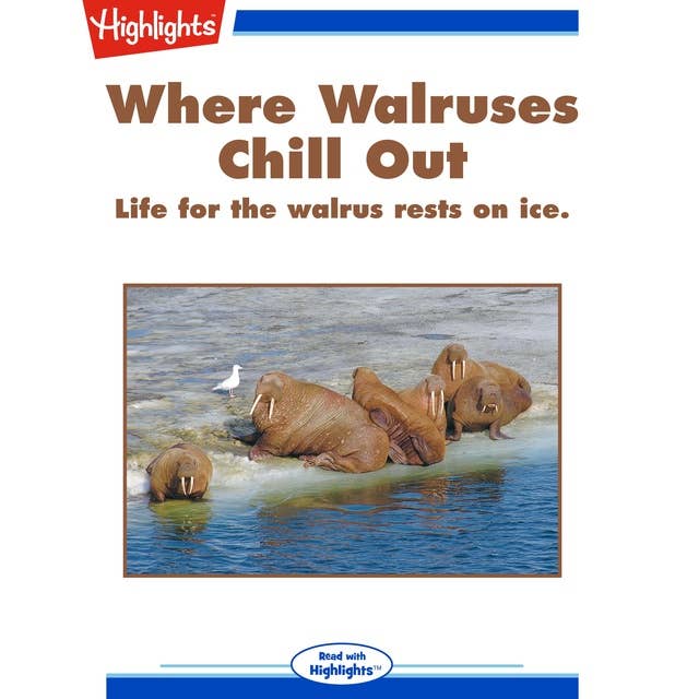 Where Walruses Chill Out: Life for the Walrus Rests on Ice