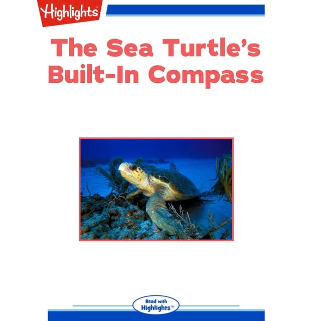 The Sea Turtle's Built-In Compass