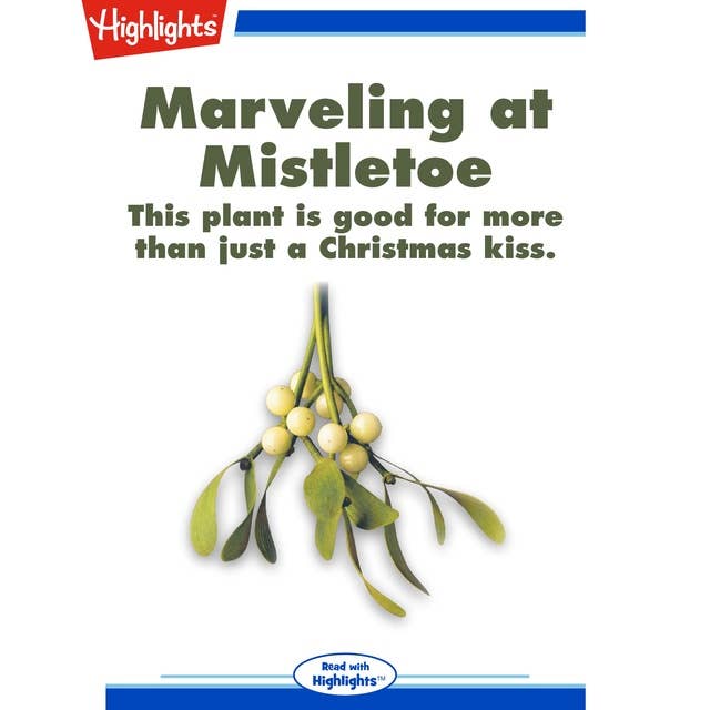 Marveling at Mistletoe: This plant is good for more than just a Christmas kiss.