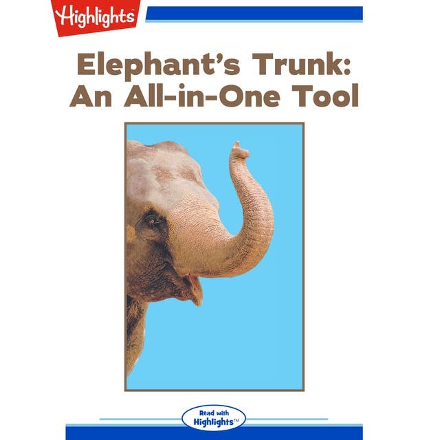 Elephant's Trunk: An All-in-One Tool