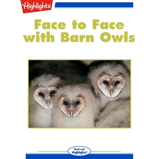 Face to Face with Barn Owls