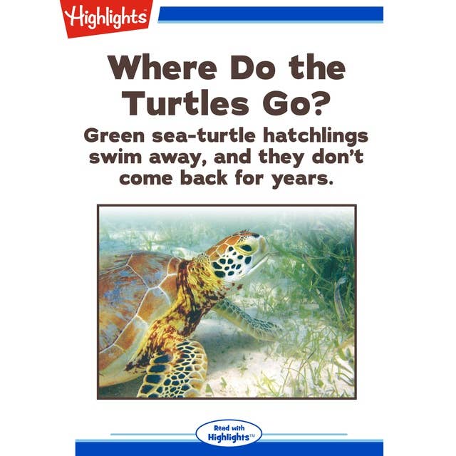 Where Do the Turtles Go?