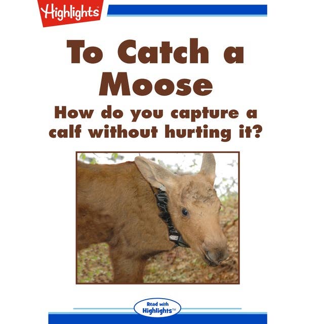 To Catch a Moose