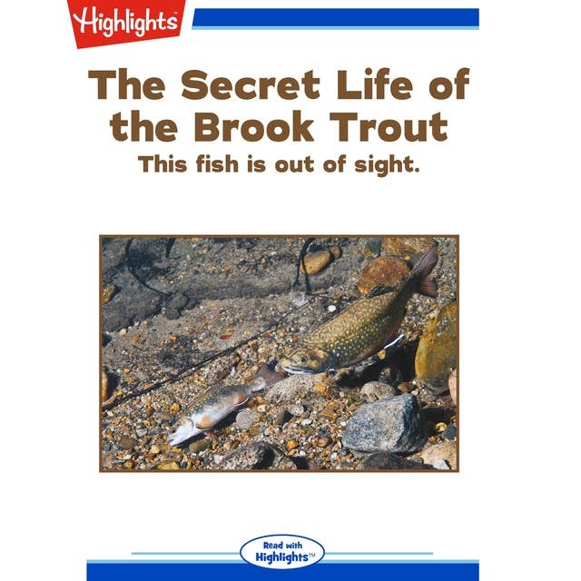 The Secret Life of the Brook Trout