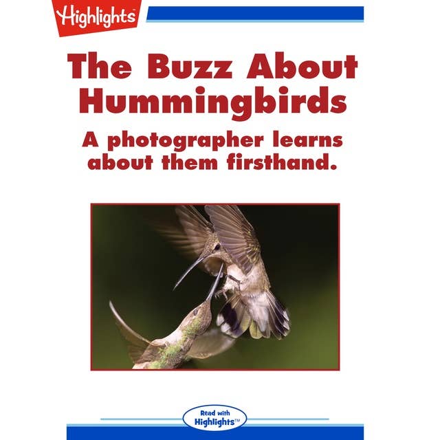 The Buzz About Hummingbirds