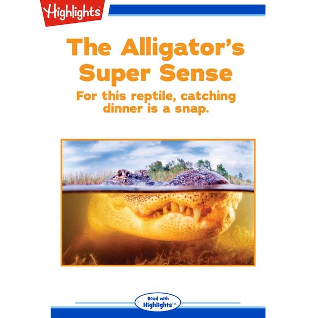 The Alligator's Super Sense