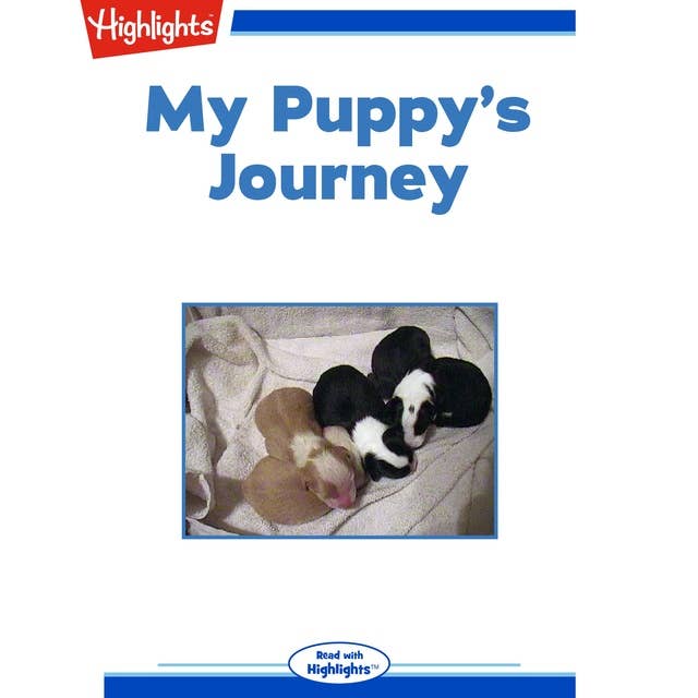 My Puppy's Journey