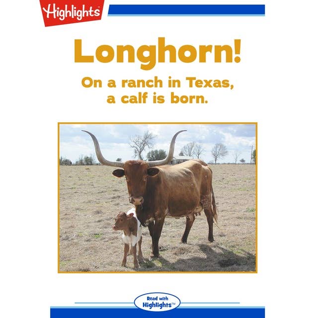 Longhorn!