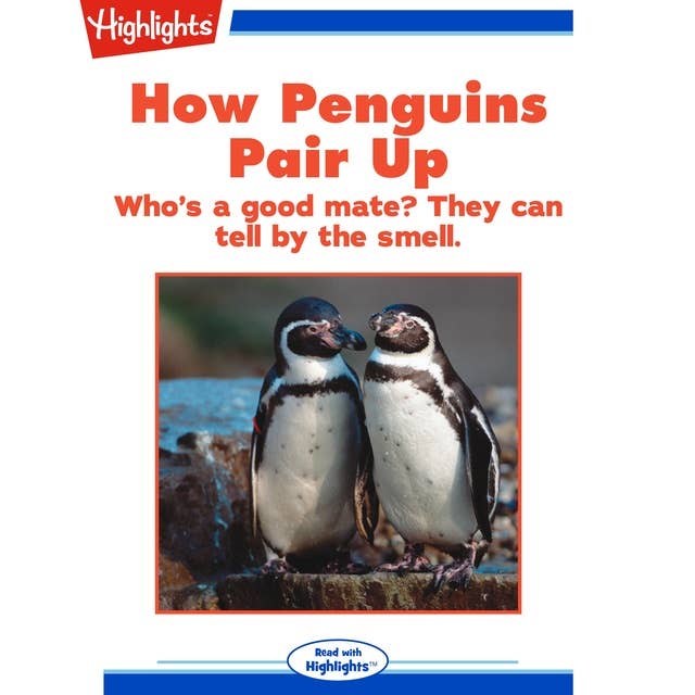 How Penguins Pair Up: Who's a good mate? They can tell by the smell.