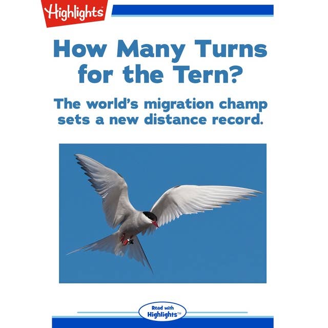 How Many Turns for the Tern?