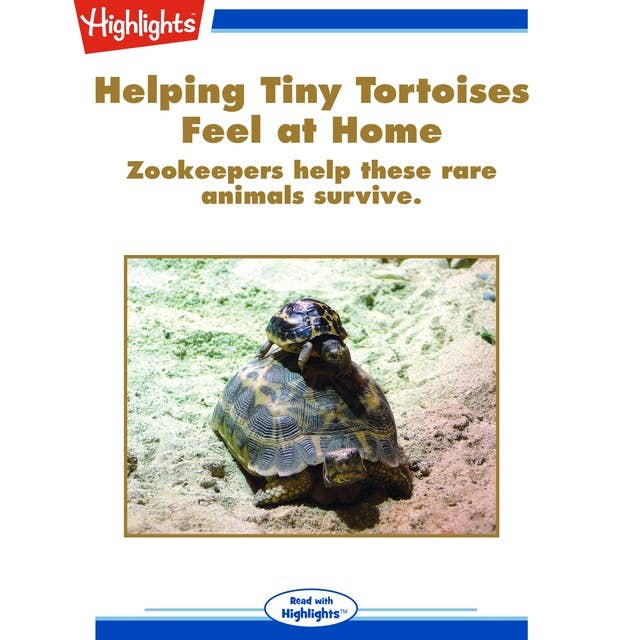 Helping Tiny Tortoises Feel at Home