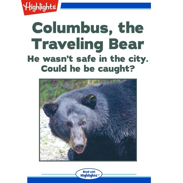 Columbus, the Traveling Bear: He wasn't safe in the city. Could he be caught?