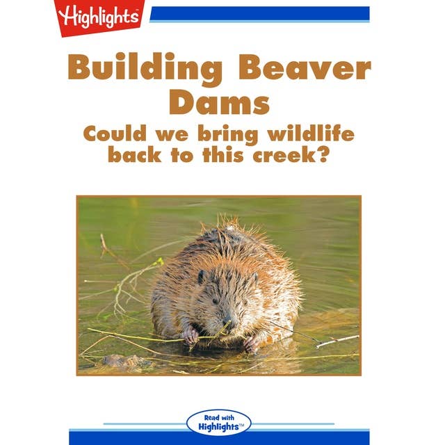 Building Beaver Dams: Could We Bring Wildlife Back to This Creek?