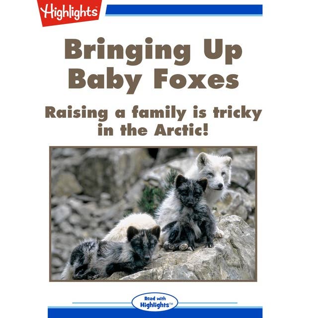 Bringing Up Baby Foxes