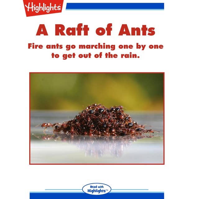 A Raft of Ants