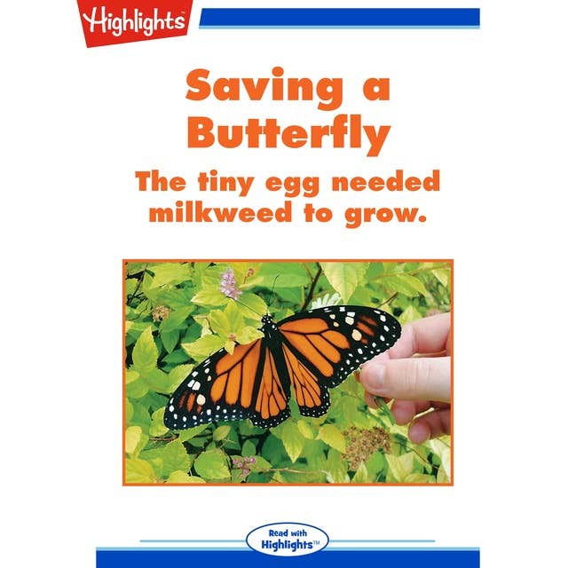 Saving a Butterfly: The tiny egg needed milkweed to grow.